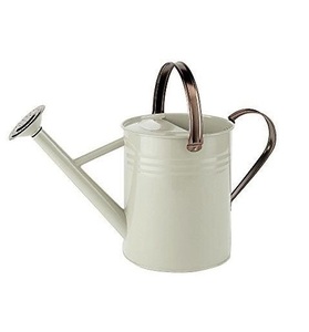 Arrosoir compact en métal pour plantes d'intérieur, pot à eau décoratif avec poignée à long bec - Product Image 1