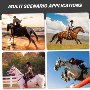 Wholesale Customizable Nylon English Saddle Horse <b>Halters</b> Various Sizes with Pewter Buckles and PP PVC Rope Bridle Accessory - Product Image 6