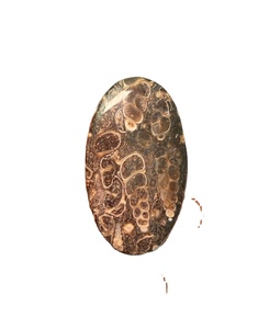 Pierre précieuse en jaspe TURTELLA 100 % naturelle de haute qualité, cabochon, pierre brute pour la guérison, jaspe en gros pour la fabrication de bijoux - Product Image 1