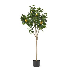 Árbol de Limón Artificial de Plástico de 59 Pulgadas para Decoración de Interiores del Hogar, Árbol de Frutas Artificial para Oficina y Sala de Estar - Product Image 2
