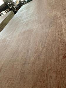 Bonito tablero de chapa de eucalipto de madera contrachapada comercial de 28mm, diseño Industrial moderno, decoración interior/exterior, 1 año de garantía - Product Image 3