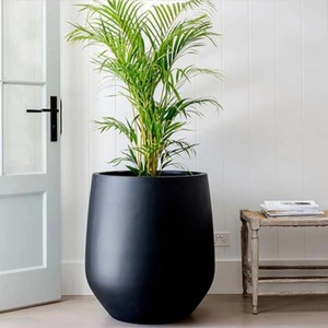Jardinière minimaliste en résine noire pour plantes vertes d'intérieur, design circulaire, usage domestique - Product Image 3