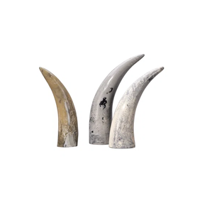 Paires de cornes décoratives 100 % naturelles de buffle, design de qualité supérieure, pièces de décoration en cornes de bœuf et de buffle, paire de cornes - Product Image 2