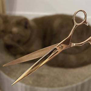 Juego de tijeras para el cuidado de mascotas de acero inoxidable de 7 pulgadas, herramienta de forma recta alimentada por carga para pelo de perro y gato, suministros para mascotas empaquetados a granel - Product Image 1