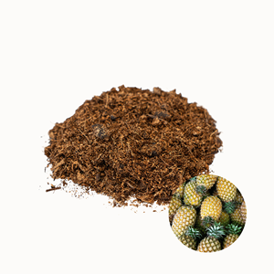 Piel de Piña Seca Hecha en Vietnam, Calidad de Exportación, Precio al por Mayor, Empaque Personalizado Disponible - Product Image 1
