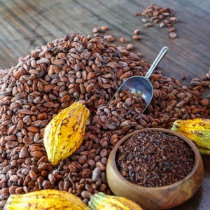 Granos de Cacao Trinitario Orgánico, Cuidadosamente Fermentados para Desarrollar un Rico Sabor a Cacao, Adecuados para Chocolate Premium - Product Image 4