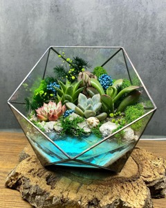 Juego de 3 macetas geométricas de vidrio para terrario, decoración decorativa de mesa para el hogar, oficina, cafetería, eventos y estilo interior moderno. - Product Image 4