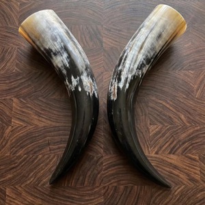 Par de Cuernos de Búfalo Pulidos para Decoración de Pared, Diseño Art Deco, Grandes de 10 a 18 Pulgadas, para Bodas, Cumpleaños, Aniversarios - Product Image 4
