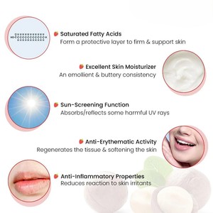 Crema Labial Nocturna con Vitamina C Natural y Bálsamo Brillo Labial Nutritivo, Hidratante y Reparador con Manteca de Karité, OEM/ODM, Muestra Gratuita, Disponible en Stock - Product Image 5