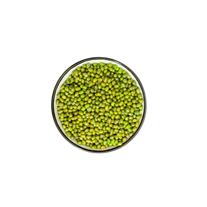 Vente en gros de haricots mungo verts biologiques de haute qualité (Gram/Moong) en vrac, paquet de 25 kg, prêts à l'emploi - Product Image 2