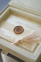 Boîte d'invitation de mariage en velours de luxe avec illustration personnalisée du lieu et monogramme en feuille d'or