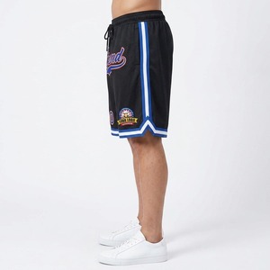 Pantalones Cortos de Baloncesto Personalizados Legend, Malla Sublimada 100% Poliéster, Cierre con Cordón, Transpirables, para Todas las Temporadas, Material de Alta Calidad - Product Image 4