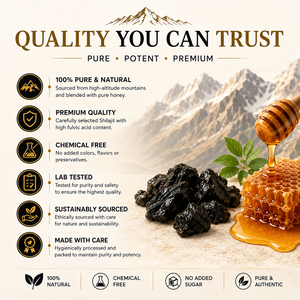 Résine de Shilajit de l'Himalaya la plus vendue avec mélange de miel 1 kg, riche en acide fulvique et en oligo-éléments pour soutenir l'énergie et la résistance - Product Image 2