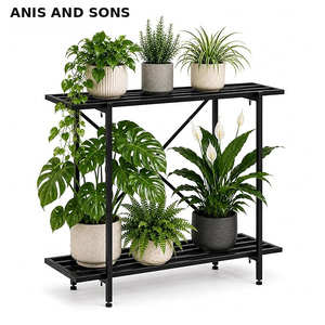 ANIS and SONS - Soporte de Hierro Nórdico de 2 Niveles para Plantas y Zapatos, Organizador de Almacenamiento para Cocina y Baño, Color Negro - Product Image 1