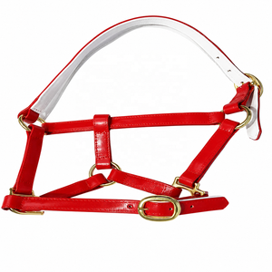 Harnais d'endurance pour cheval avec logo personnalisé, rembourré confortablement, imperméable en PVC, style selle anglaise, ferrures en laiton massif, personnalisable - Product Image 1