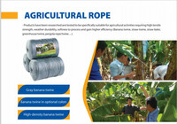 Filet d'ombrage vert 100 % polypropylène grande taille pour serres agricoles et jardins – Offre Spéciale