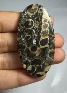 Lote al por mayor de cabujones de ágata TURRITELLA por peso con diferentes formas y tamaños utilizados para la fabricación de joyas, piedra TURRITELLA - Product Image 3