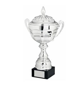 Trophée en alliage de zinc durable très demandé pour les compétitions intérieures et extérieures, disponible au prix d'usine - Product Image 4