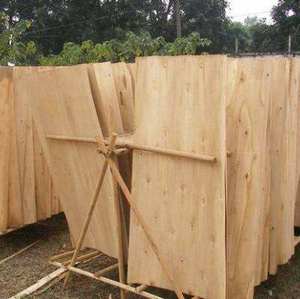Manufacturer Stable Material Vietnam Wholesale Veneer <b>Sheets</b> Warranty <b>Eucalyptus</b> Cost-Effective Core Veneer 1.7mm-2.0mm - Product Image 2