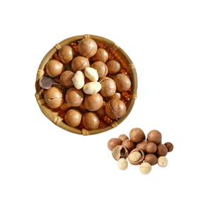 Precio al por Mayor, Fábrica de Vietnam, Macadamia Cruda de Primera Calidad para Exportación, Deliciosa, Empacada en Bolsas de Varios Tamaños - Product Image 4