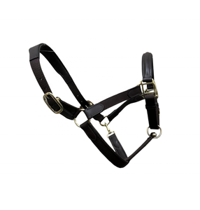 Cabestro de caballo personalizable DD, cómodo cuero negro y material mixto de nailon con accesorios SS/latón, conveniente para propietarios de caballos - Product Image 5