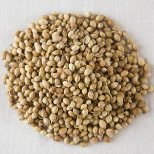 Semi di Coriandolo Naturali Essiccati Interi, Spezie <span class=keywords><strong>Aromatiche</strong></span>, <span class=keywords><strong>Erbe</strong></span> Culinarie, Condimento per Lavorazione Alimentare dal Gujarat, India, di Meadowfarm - Product Image 6