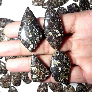 Offre Spéciale : Cabochon en Agate Turritella Naturelle, Pierre Précieuse Non Montée pour la Fabrication de Bijoux (Bague, Pendentif, Boucles d'Oreilles) – En Vente - Product Image 3