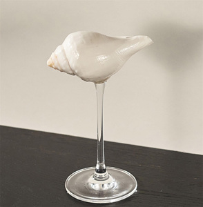 Vasos de cóctel de concha marina, los más vendidos, para decoración de bodas en la playa. - Product Image 6