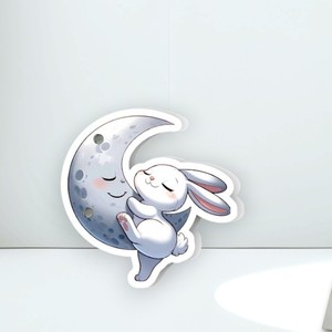 Extension de cils magnétique carrée écologique en acrylique, motif lapin câlinant la lune, papillon et fleur, pour marque privée - Product Image 1