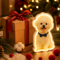 Personalisierte 3D-Induktionslampe für Heimdekoration im Schlafzimmer und als Geschenk für die Feiertage