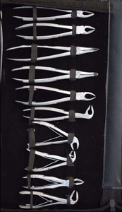 Kit de Instrumentos Quirúrgicos Ortopédicos: Pinzas Extractoras y Herramientas Personalizables de Sonda Dental/Explorador Periodontal Manuales de Dentavex - Product Image 2