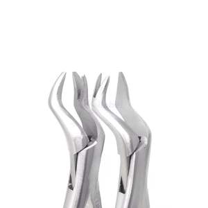 Juego de 3 Pinzas de Extracción Dental de Acero Inoxidable, Alicates Quirúrgicos para Extracción de Dientes, Kit de Cirugía Oral OEM - Product Image 2