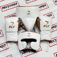 Ensemble d'entraînement et de sparring en cuir sur mesure, modèle dernier cri, super confortable, protection optimale pour la boxe et le kickboxing, pour tous.