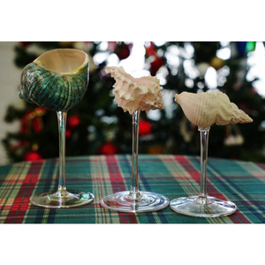 Décoration côtière en verre de coquillage naturel, thème océan, pour la décoration intérieure, centre de table de mariage, présentation artisanale et cadeau - Product Image 5