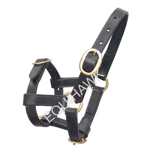 Thông minh ngựa da Halter foal Kích thước Brass phần cứng, da ưa thích ngựa Halter, cưỡi ngựa Halter cho ngựa