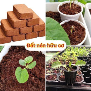 Granulés de fibre de coco de qualité supérieure en gros, naturels, durables, milieu de culture de haute qualité pour les jardiniers du monde entier - Product Image 4