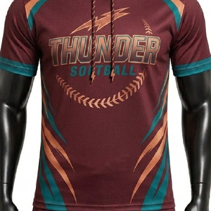 Sudadera con Capucha de Béisbol y Sóftbol con Logotipo Impreso, Conjunto de Jersey Sublimado 2026, Sudadera Deportiva Personalizada para Hombre de Alta Calidad - Product Image 3