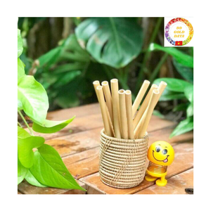 Bamboo <b>Drinking</b> Straws | Premium Reusable Biodegradable Straws Natural Color Bulk OEM - Product Image 6