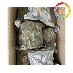 Vietnam Dried Soursop Leaves Herbal <b>Tea</b> Ingredient Bulk Supply - Product Image 5