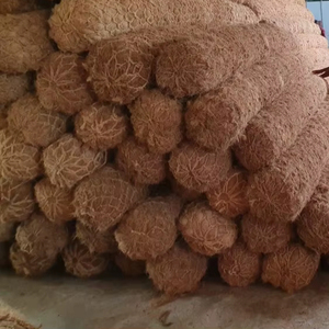 ไม้ก้อนใยมะพร้าว Geotex จากรัฐเคอราลา สำหรับการเพาะปลูกพืชสวนและการก่อสร้าง - Product Image 1