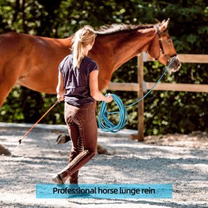 Línea de Entrenamiento para Caballos de Alta Calidad, Disponible en Varios Colores a Bajo Precio, Fabricada en Kanpur, India, Directamente de Fábrica - Product Image 3