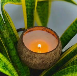 Vela Aromática Hecha a Mano con Cáscara de Coco y Cera de Coco Natural, Ecológica, en OFERTA - Product Image 1