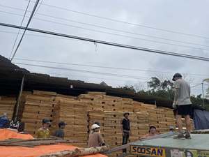 Chapa de Madera de Caucho Natural 100% Natural, Corte Rotatorio, 1270x640mm, Duradera y Ecológica para Construcción de Madera Contrachapada - Product Image 6