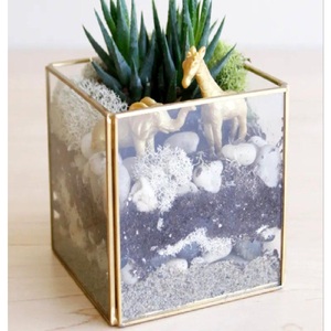 Terrario de Cristal de Borosilicato Vintage, Recipiente para Plantas de Interior, Mini Jardín, Decoración Artística Creativa para Mesa - Product Image 4