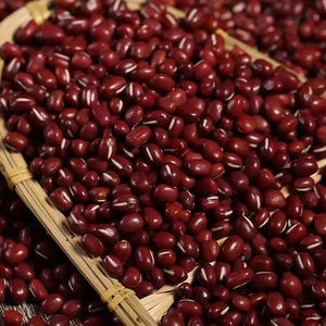Fournisseur en gros de haricots rouges de qualité supérieure à vendre à prix avantageux - Product Image 2