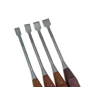 Colección de Cinceles Dentales Médicos con Herramientas Reutilizables de Acero Inoxidable para Procedimientos Dentales Profesionales e Instrumentos Quirúrgicos - Product Image 3