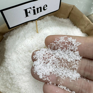 Coco Deshidratado de Alto Contenido de Grasa de Origen Vietnamita, Polvo de Coco Fino para Uso en Repostería y Fabricación de Panadería, a Granel - Product Image 1