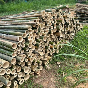 เสาไม้ไผ่พรีเมียม ยาว แข็งแรง ตรงเสถียร สำหรับงานอุตสาหกรรม - Product Image 1