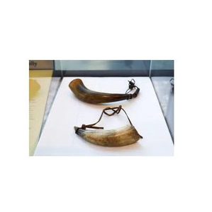 Corne à poudre de la meilleure qualité avec couvercle en bois et détails en laiton, corne naturelle polie à la main pour la décoration intérieure - Product Image 1