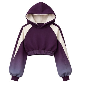 Nuevas sudaderas con capucha para mujer, ligeras, MOQ bajo, estilo cómodo, sudaderas cortas para mujer en venta - Product Image 1